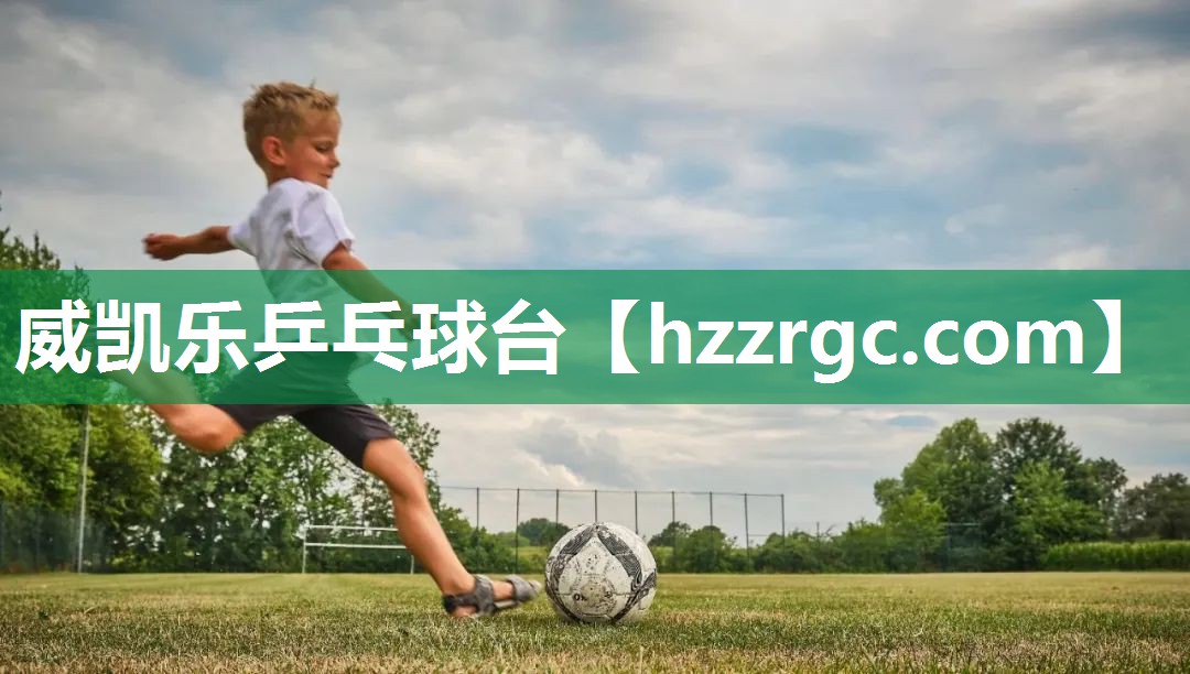 威凯乐乒乓球台