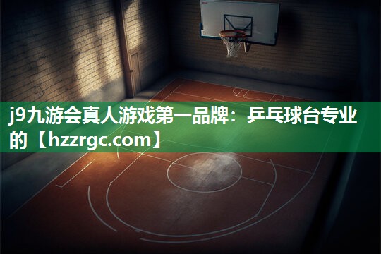 乒乓球台专业的 乒乓球台专业的